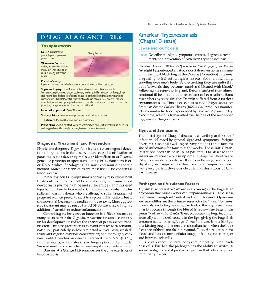 Microbial Cardiovascular and Systemic Diseases - Page 23