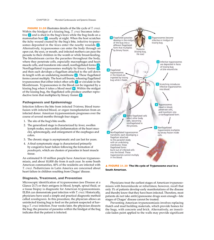 Microbial Cardiovascular and Systemic Diseases - Page 25