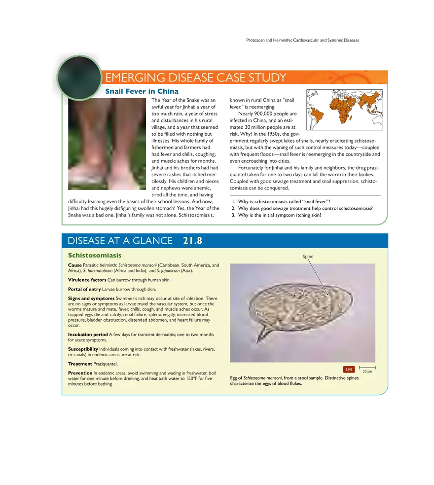 Microbial Cardiovascular and Systemic Diseases - Page 28