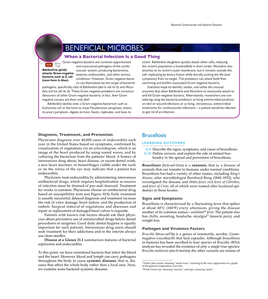 Microbial Cardiovascular and Systemic Diseases - Page 37