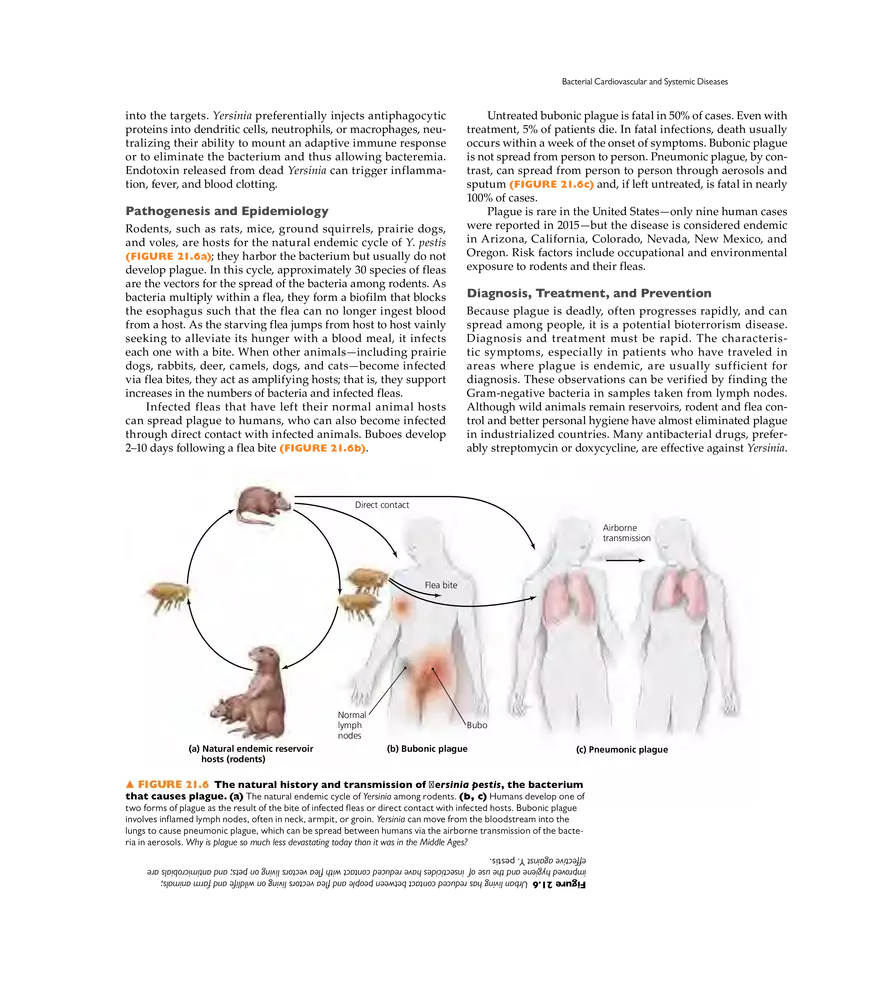 Microbial Cardiovascular and Systemic Diseases - Page 41
