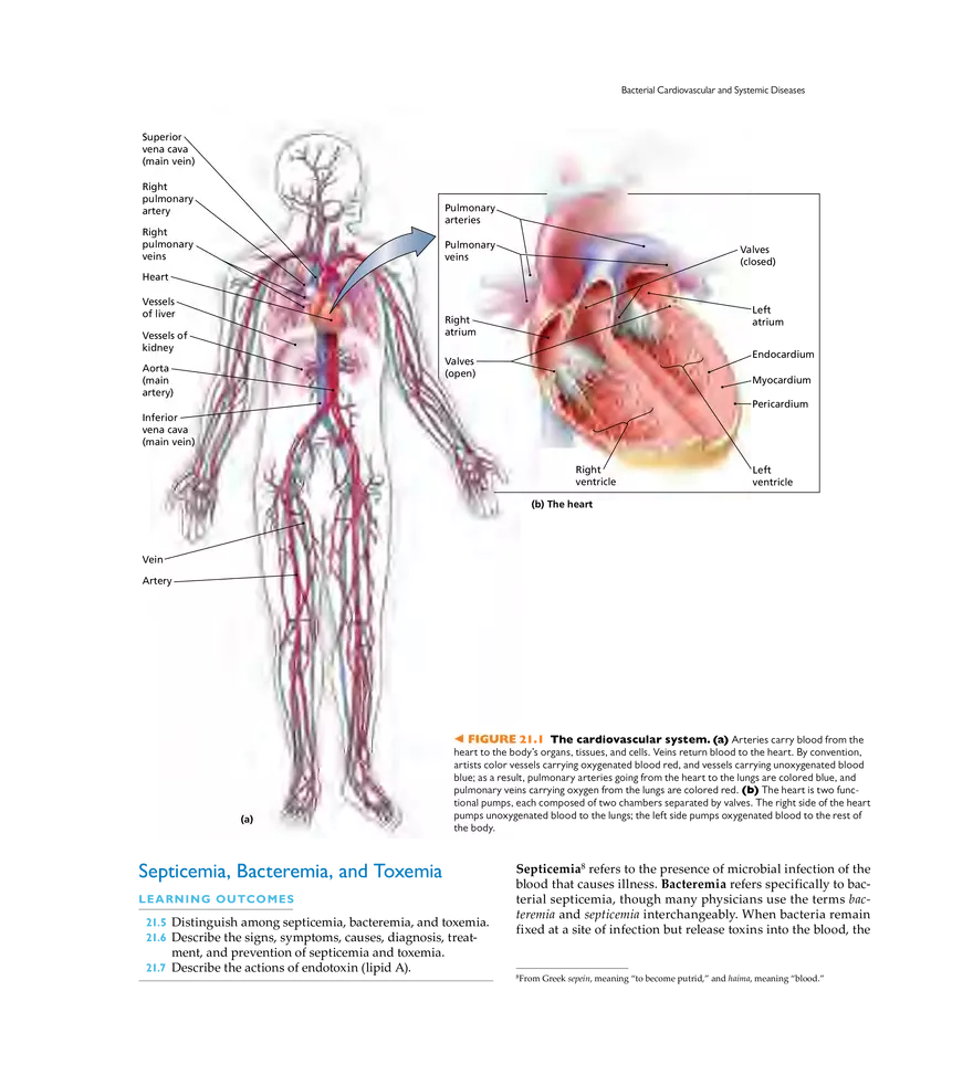 Microbial Cardiovascular and Systemic Diseases - Page 2