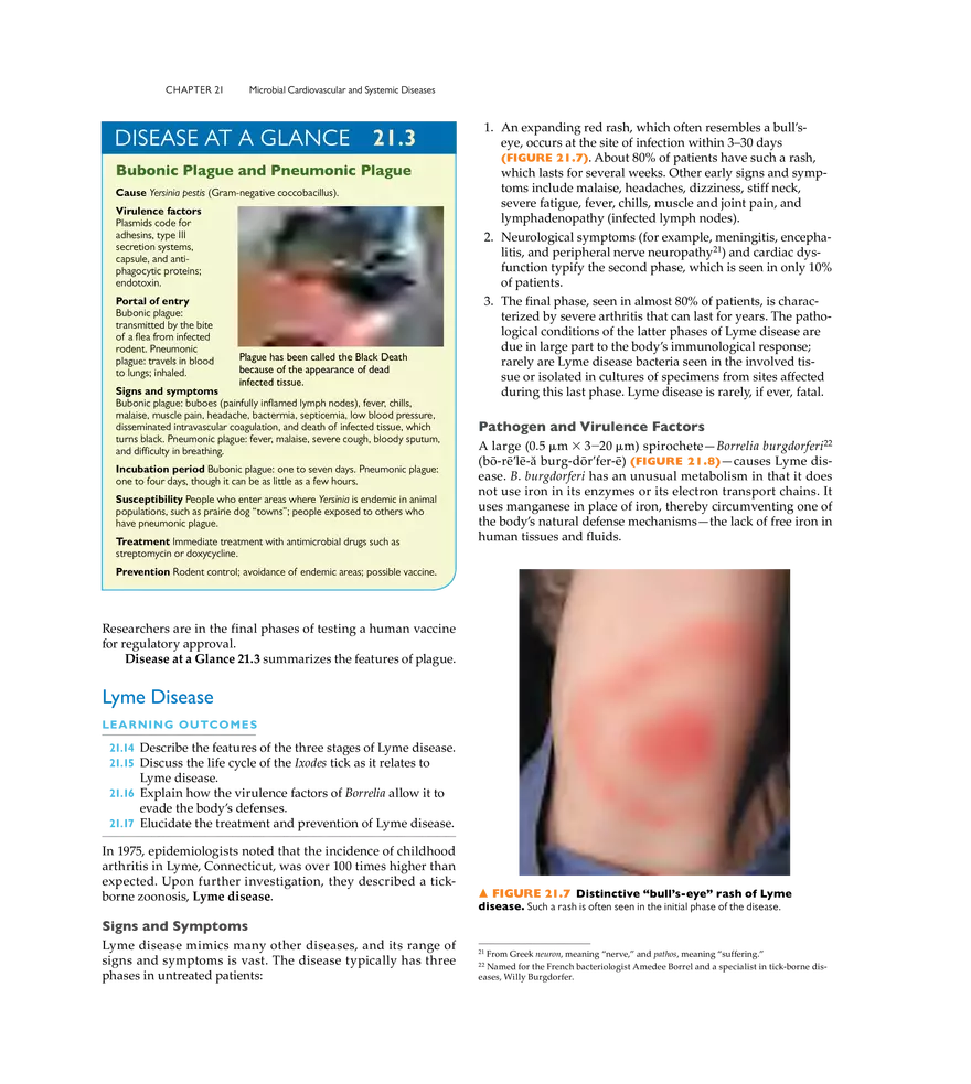 Microbial Cardiovascular and Systemic Diseases - Page 3