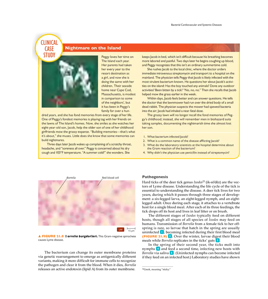 Microbial Cardiovascular and Systemic Diseases - Page 4