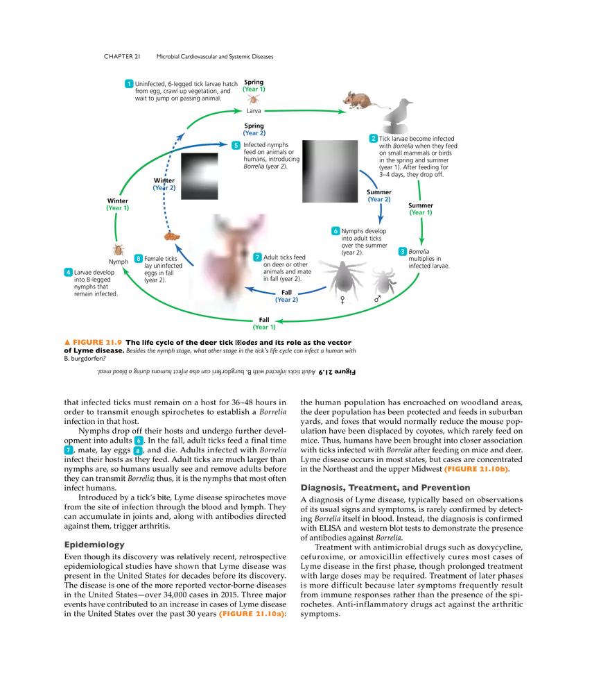 Microbial Cardiovascular and Systemic Diseases - Page 5