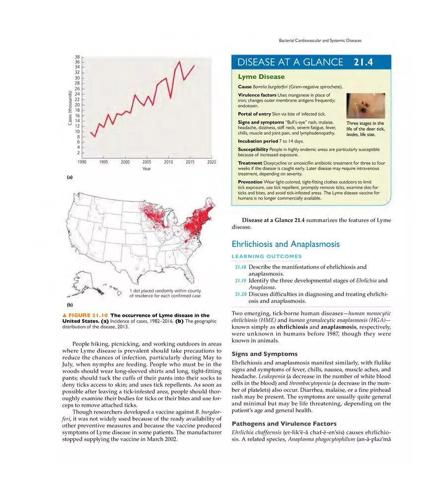 Microbial Cardiovascular and Systemic Diseases - Page 6