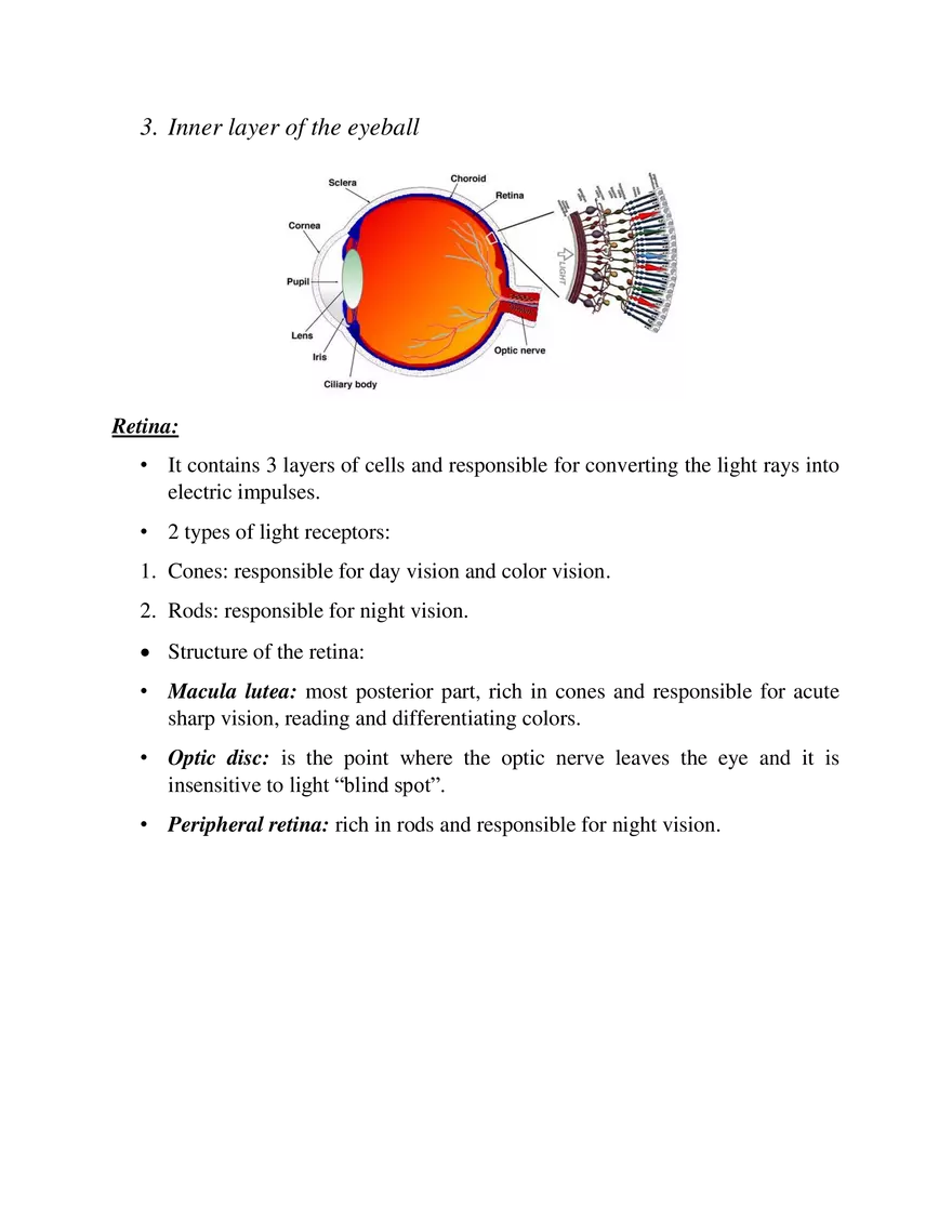 Introduction to Microbiology, Infection Control and Laboratory Safety, and Quality Control - Page 4