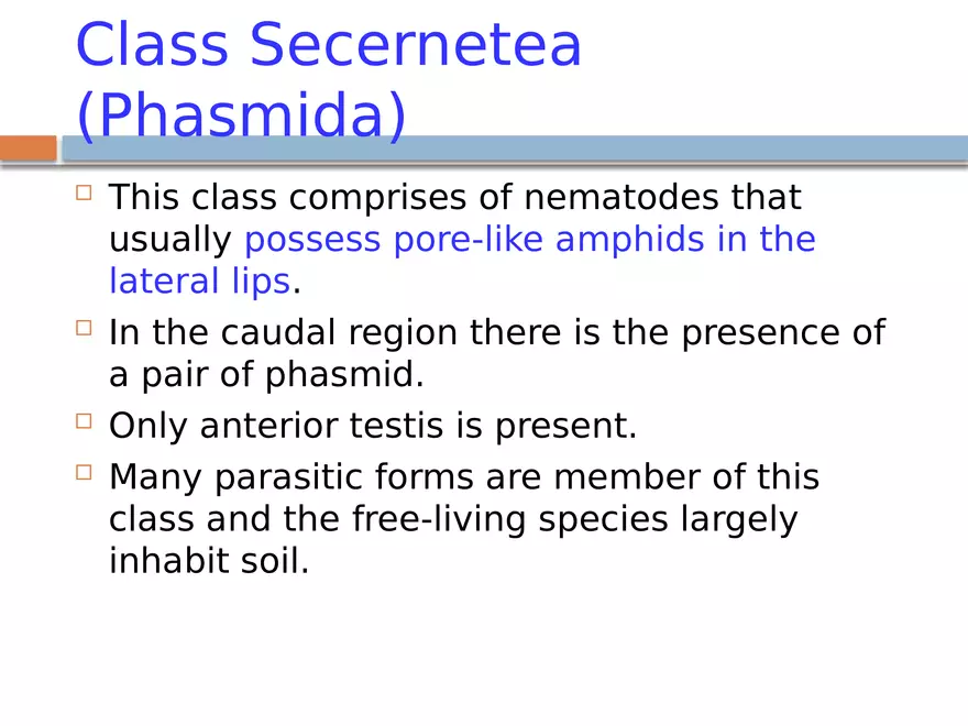 Phylum Nematoda - Page 12