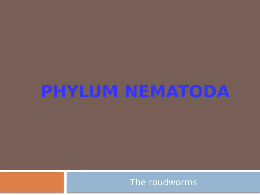 Phylum Nematoda - Page 1