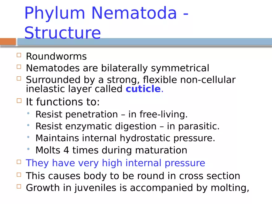 Phylum Nematoda - Page 2