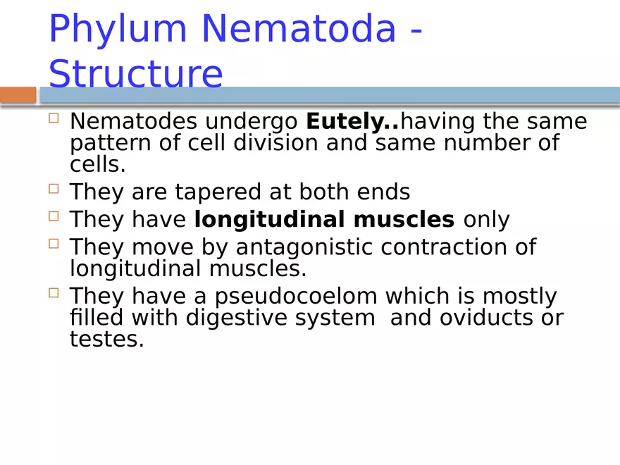 Phylum Nematoda - Page 6