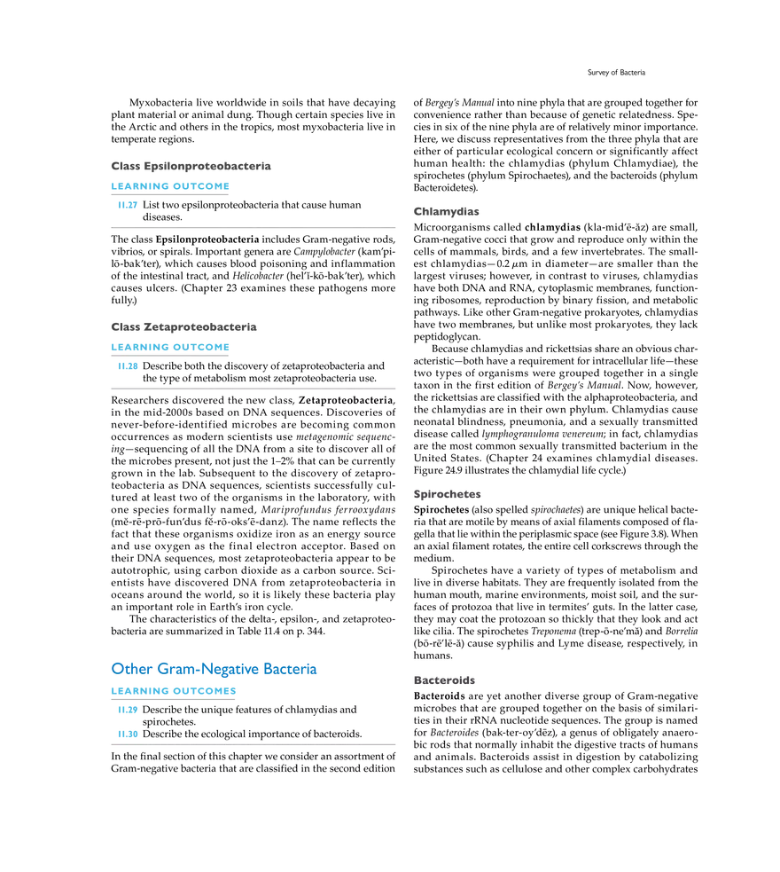 Characterizing and Classifying Prokaryotes - Page 15