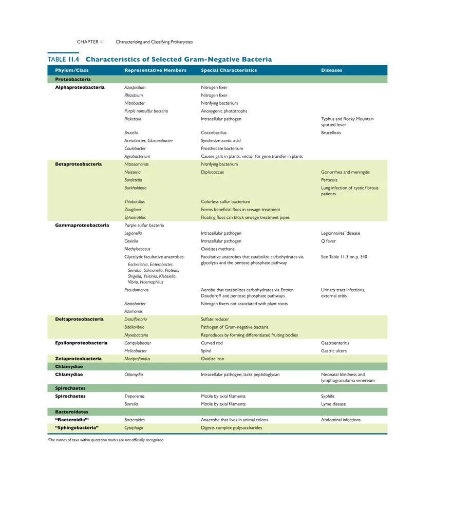 Characterizing and Classifying Prokaryotes - Page 16
