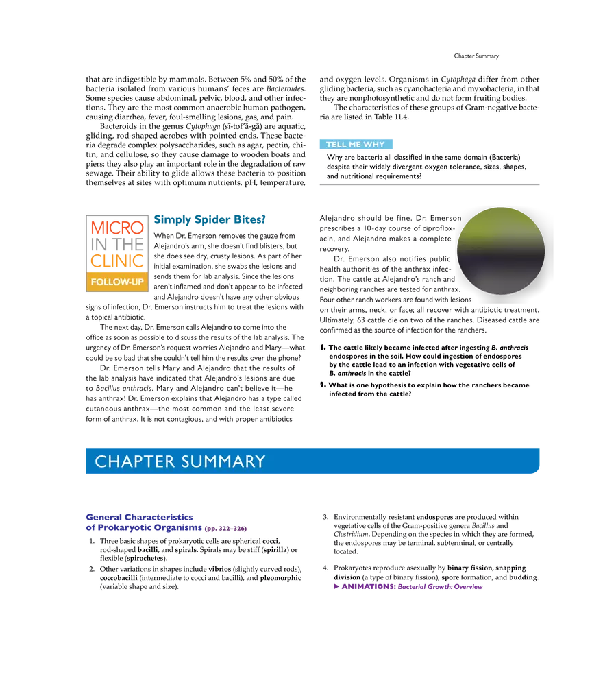 Characterizing and Classifying Prokaryotes - Page 17
