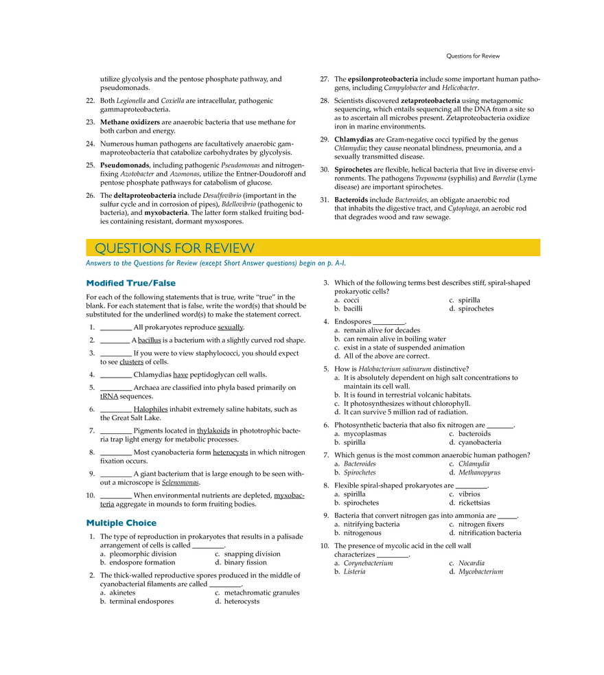 Characterizing and Classifying Prokaryotes - Page 19