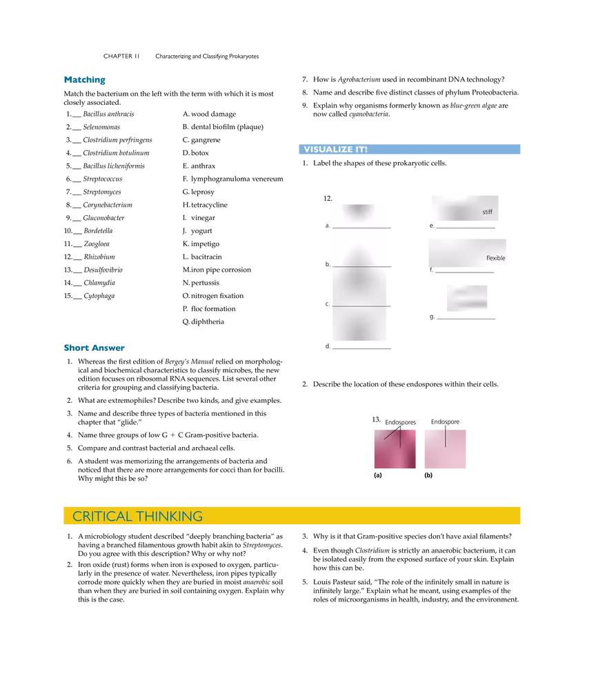 Characterizing and Classifying Prokaryotes - Page 20