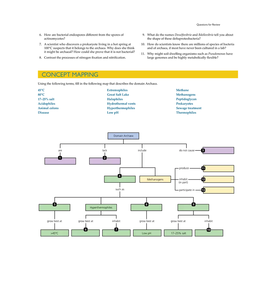 Characterizing and Classifying Prokaryotes - Page 21