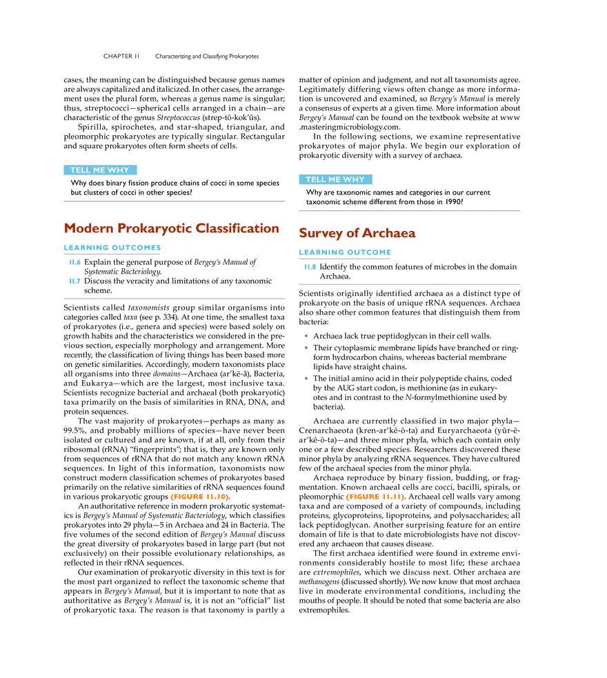 Characterizing and Classifying Prokaryotes - Page 23