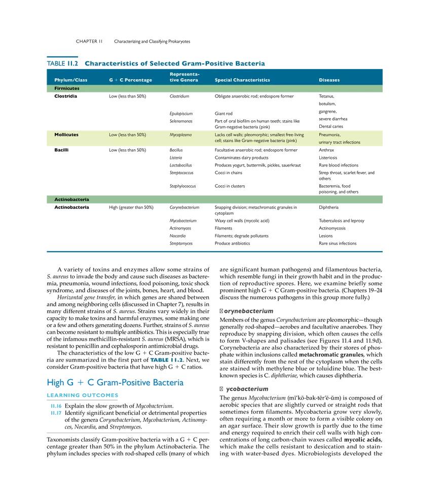 Characterizing and Classifying Prokaryotes - Page 5