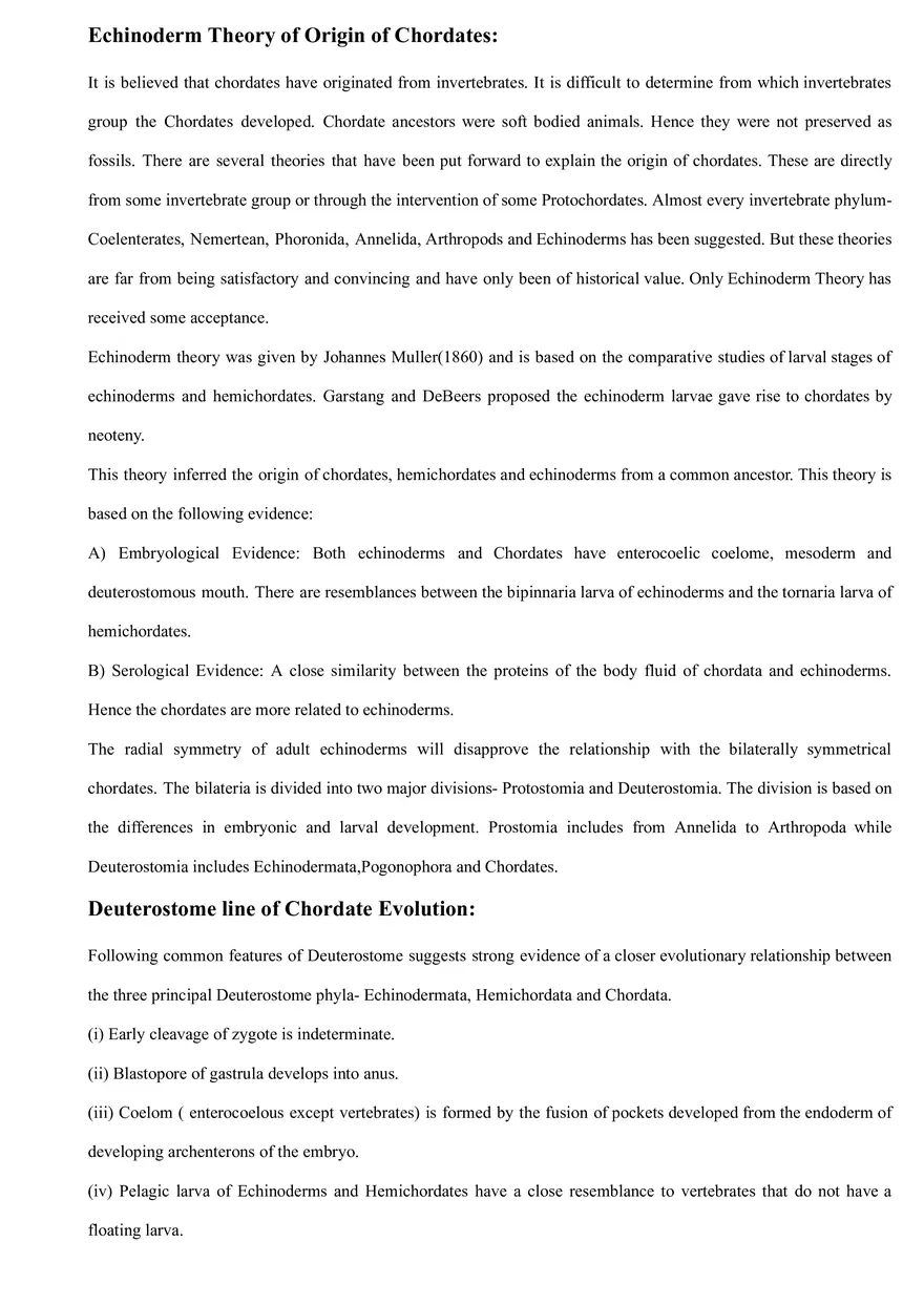 Dipleurula Concept and the Echinoderms Theory of Origin of Chordates - Page 2