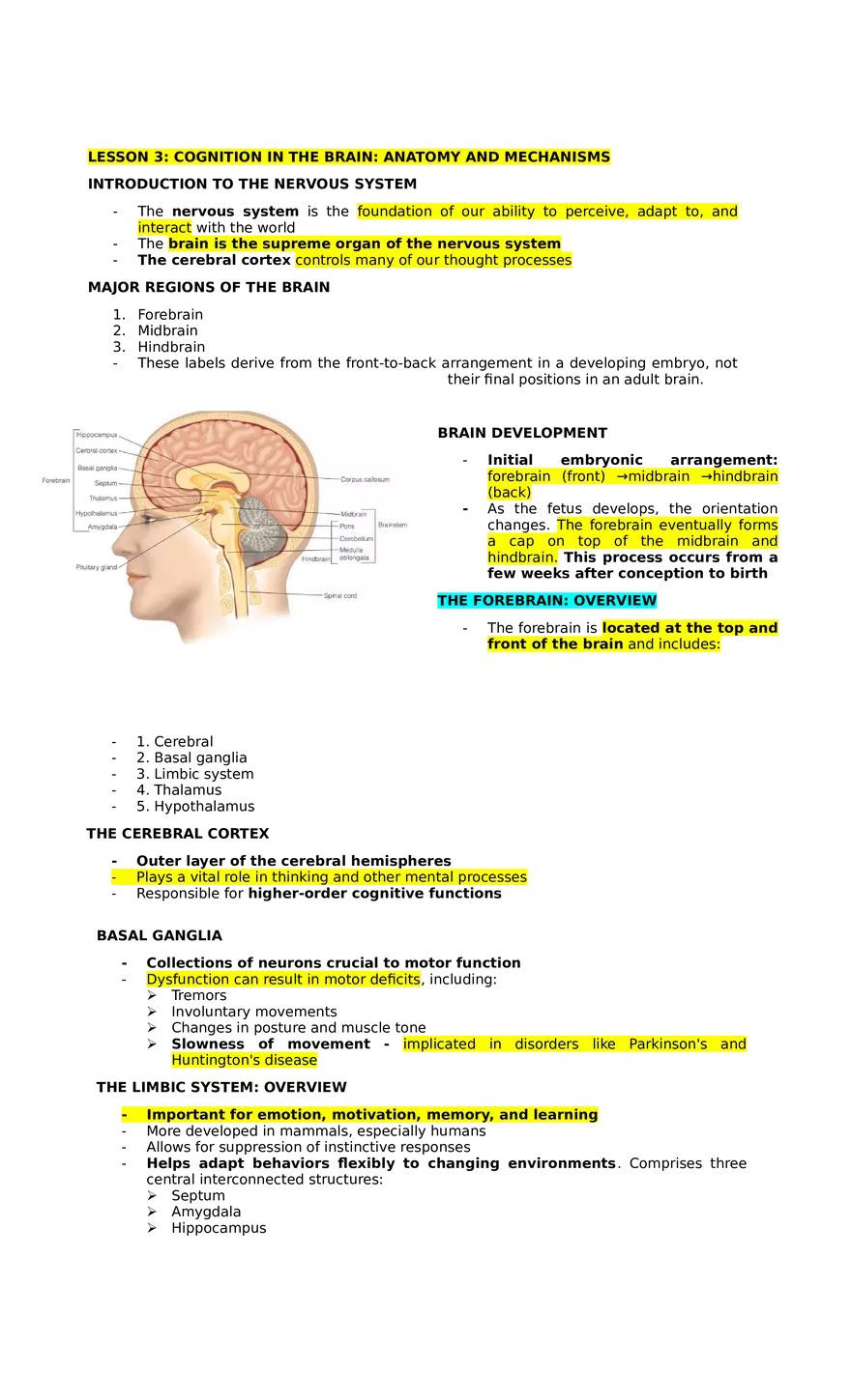 Lesson 3  Cognition in the Brain. Anatomy and Mechanisms - Page 1
