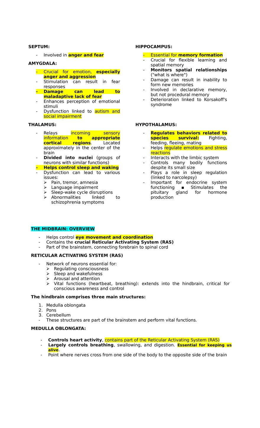 Lesson 3  Cognition in the Brain. Anatomy and Mechanisms - Page 2