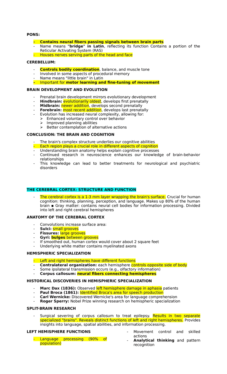 Lesson 3  Cognition in the Brain. Anatomy and Mechanisms - Page 4
