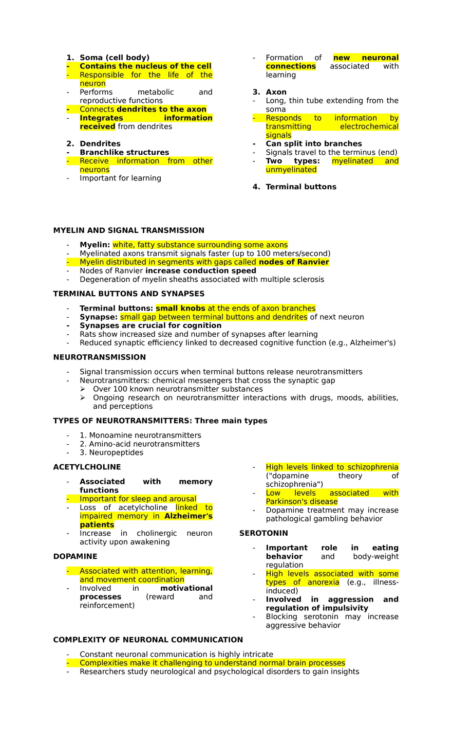 Lesson 3  Cognition in the Brain. Anatomy and Mechanisms - Page 6