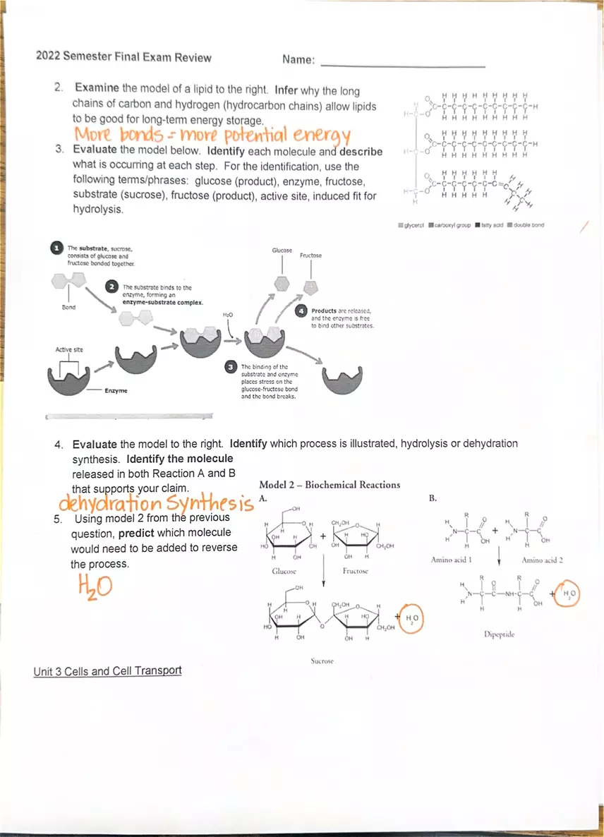Biology 2022 Semester Final Exam Review - Page 2