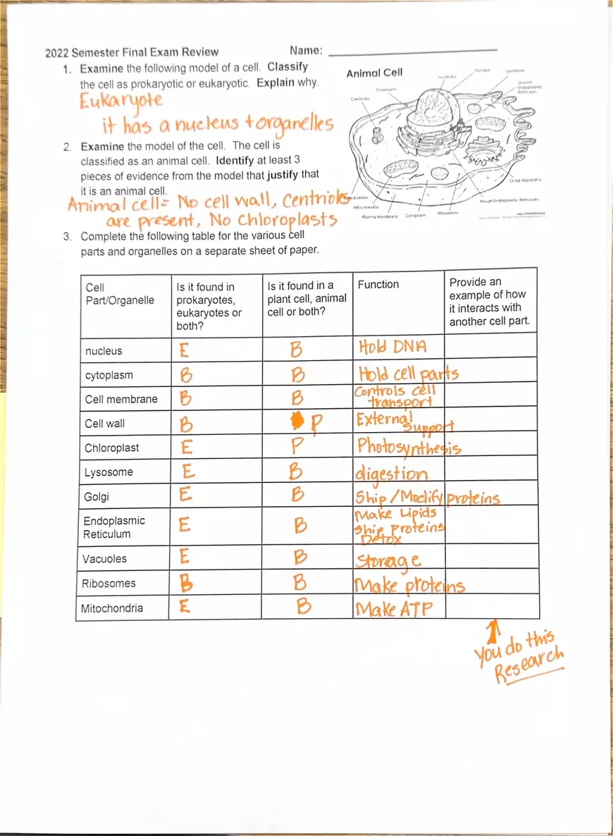 Biology 2022 Semester Final Exam Review - Page 3