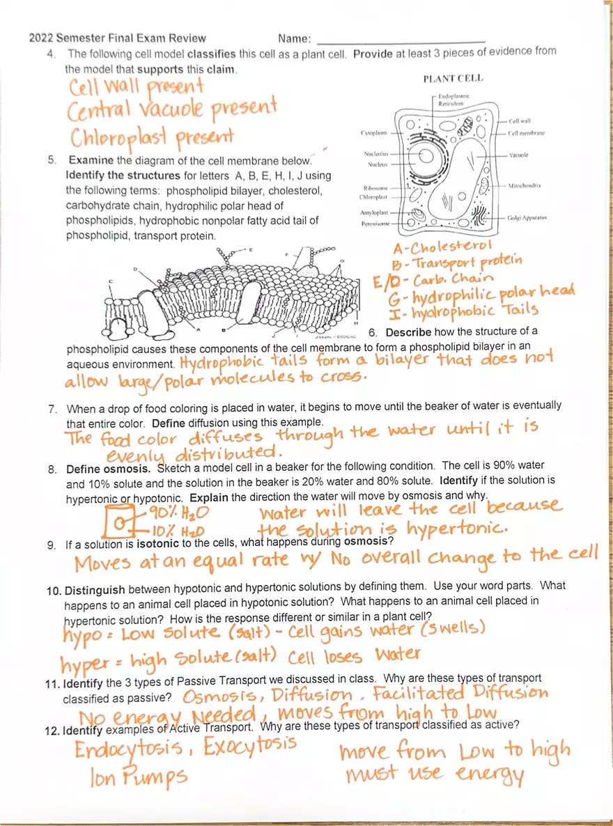 Biology 2022 Semester Final Exam Review - Page 4