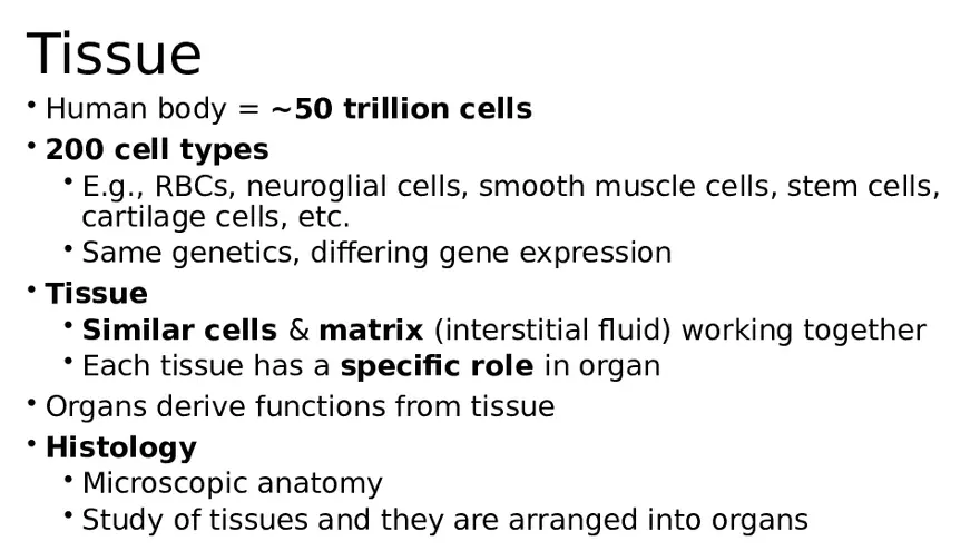 Chapter 5 Tissues – Epithelial, Connective, Muscle, Nervous, Membranes - Page 13