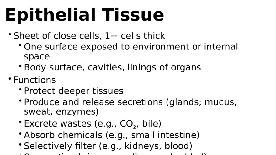 Chapter 5 Tissues – Epithelial, Connective, Muscle, Nervous, Membranes - Page 25
