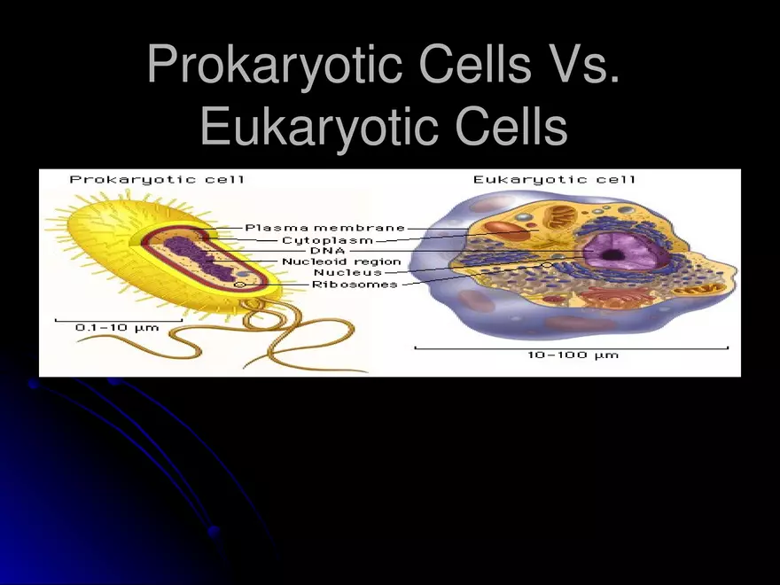 Prokaryotic Cells Vs. Eukaryotic Cells - Page 1
