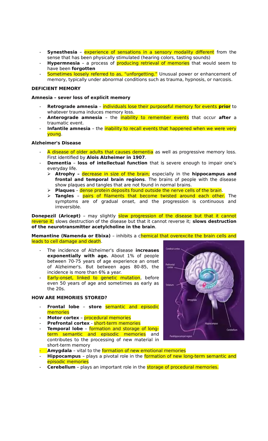 Lesson 6 Memory. Models and Research Methods - Page 6