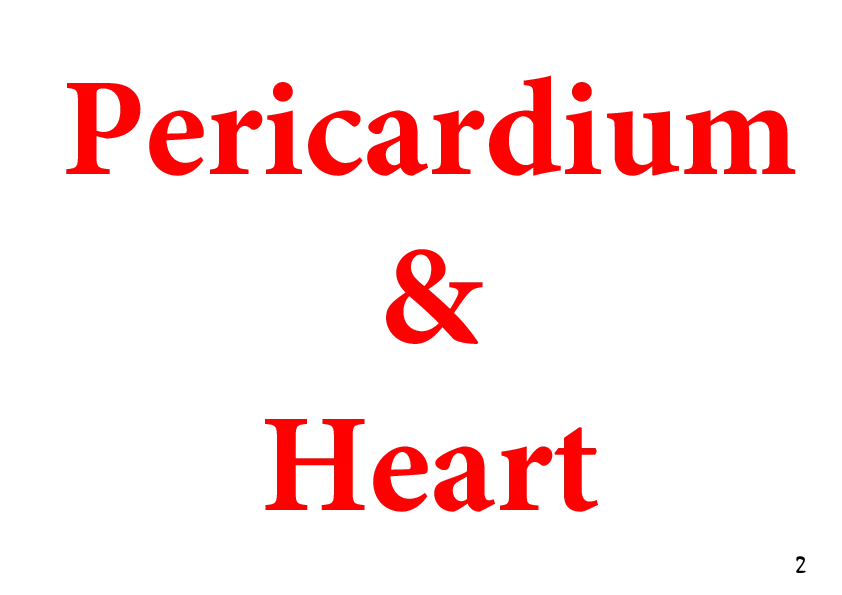 Pericardium & Heart - Page 1