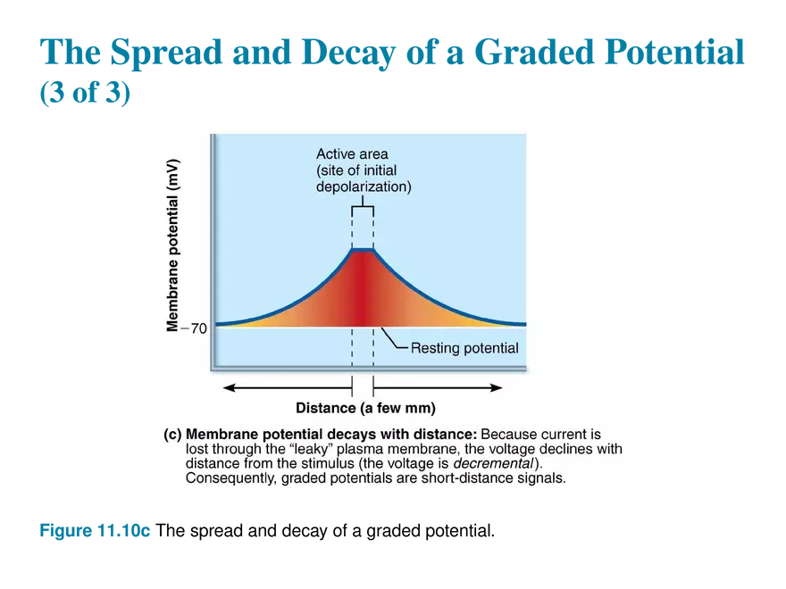 11.5  Graded Potentials - Page 6