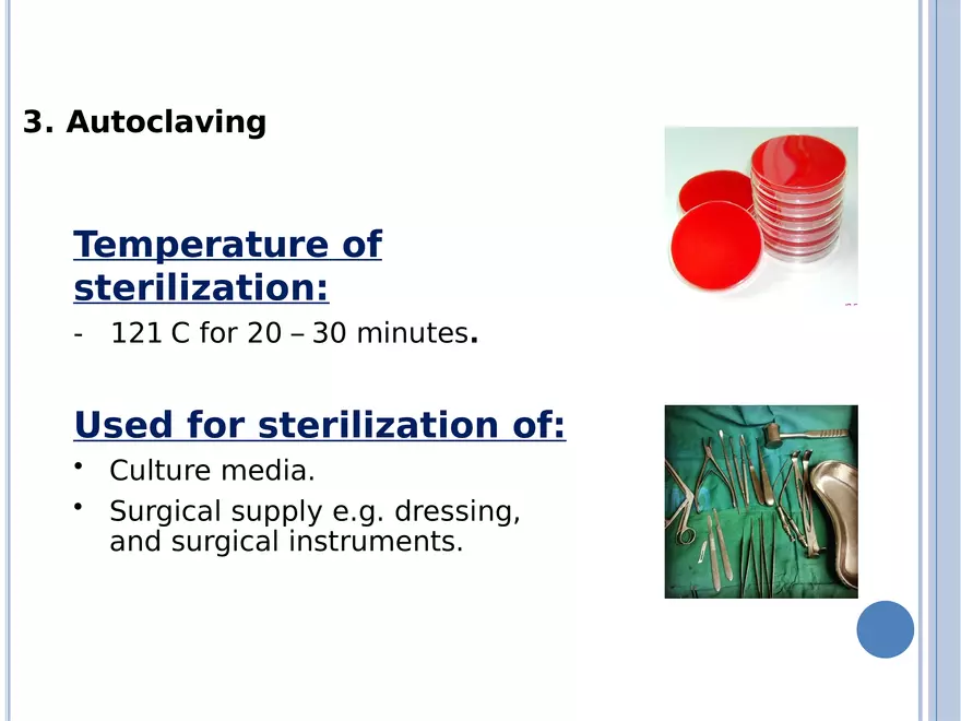 Bacterial Colonial Characteristics - Page 8