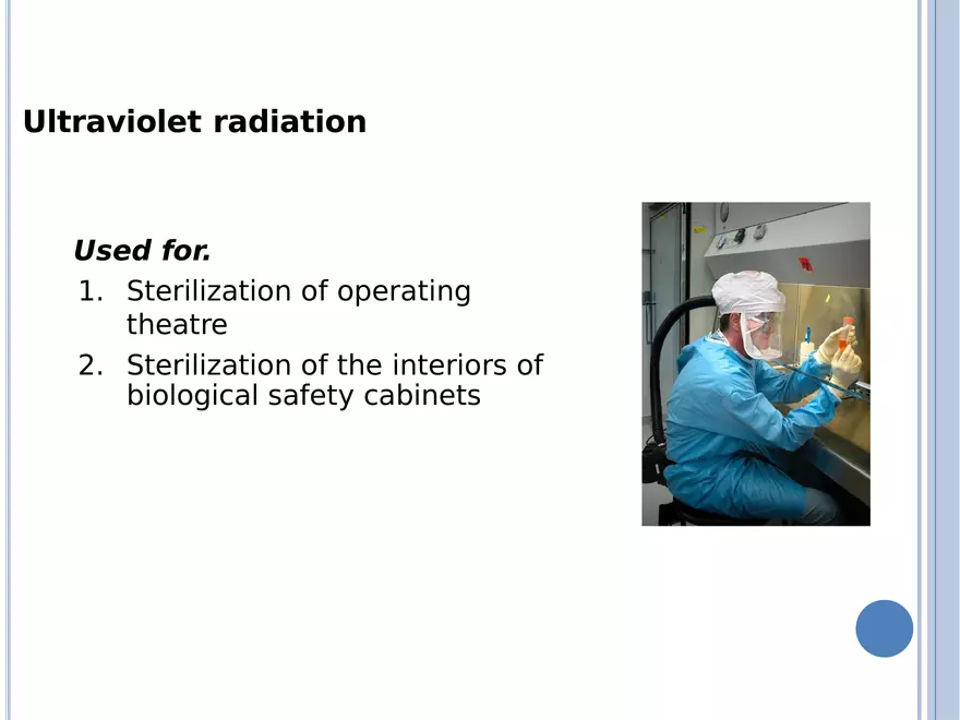 Bacterial Colonial Characteristics - Page 11