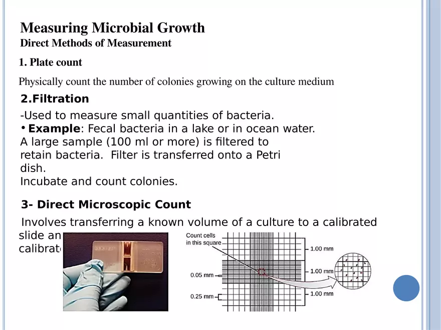 Bacterial Colonial Characteristics - Page 18