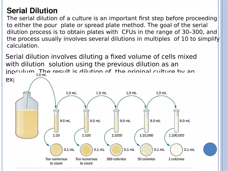 Bacterial Colonial Characteristics - Page 20