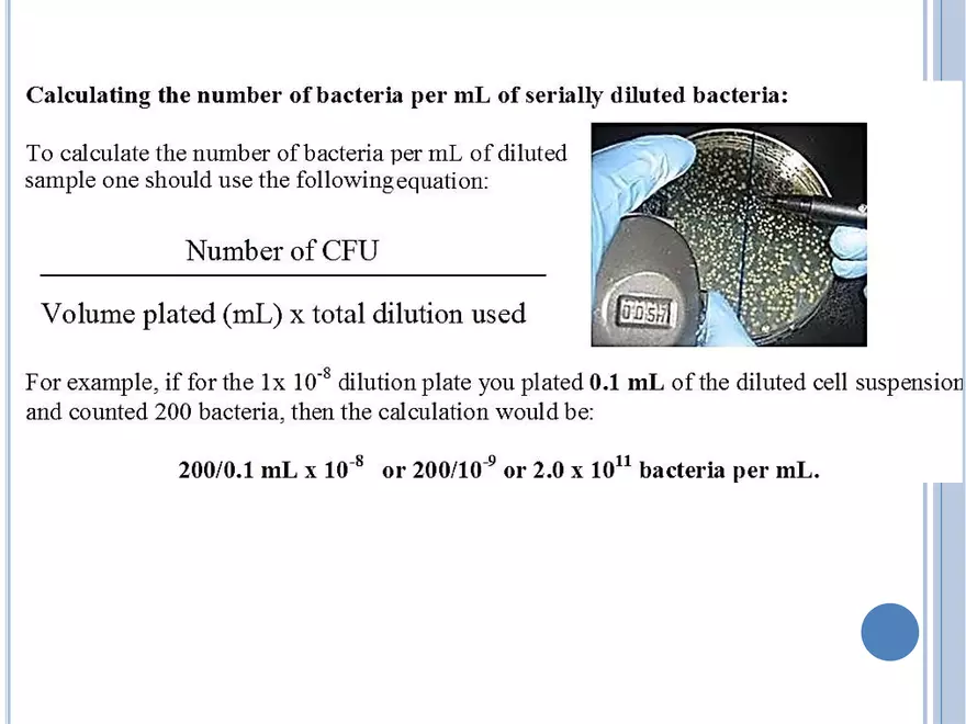 Bacterial Colonial Characteristics - Page 21
