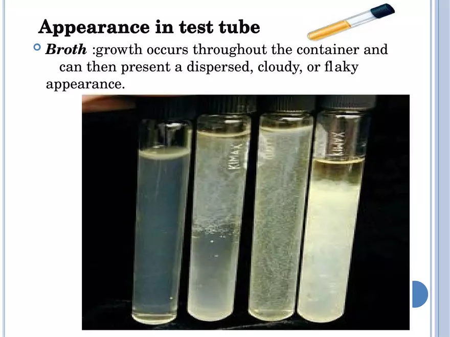 Bacterial Colonial Characteristics - Page 24