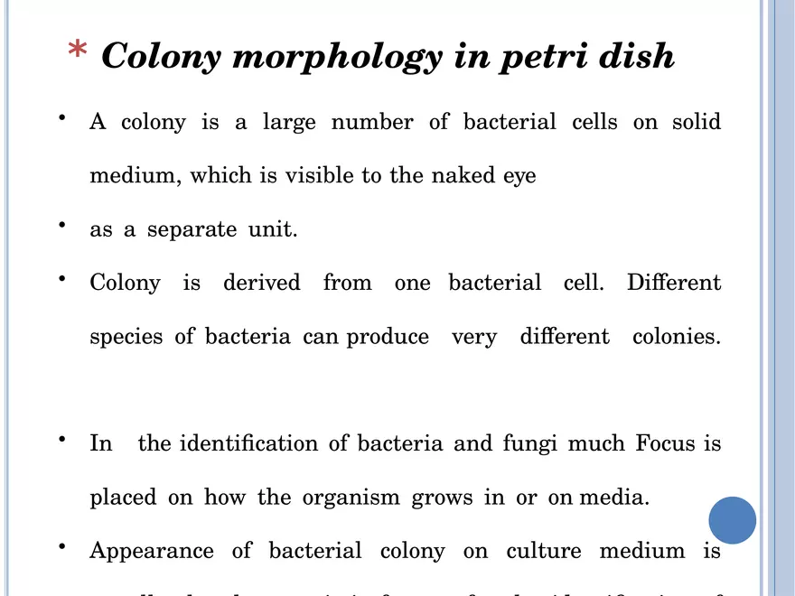 Bacterial Colonial Characteristics - Page 30