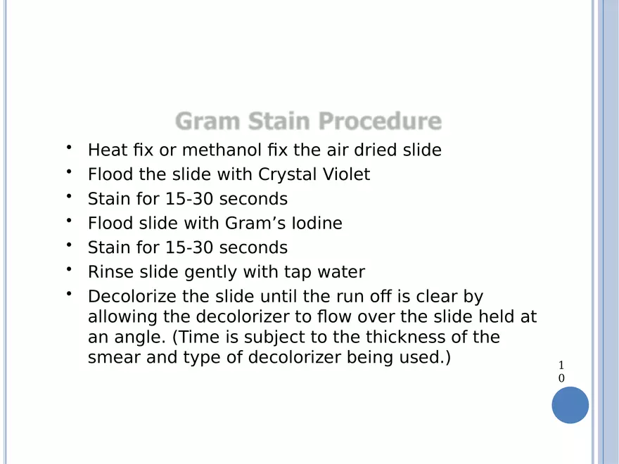 Bacterial Colonial Characteristics - Page 32