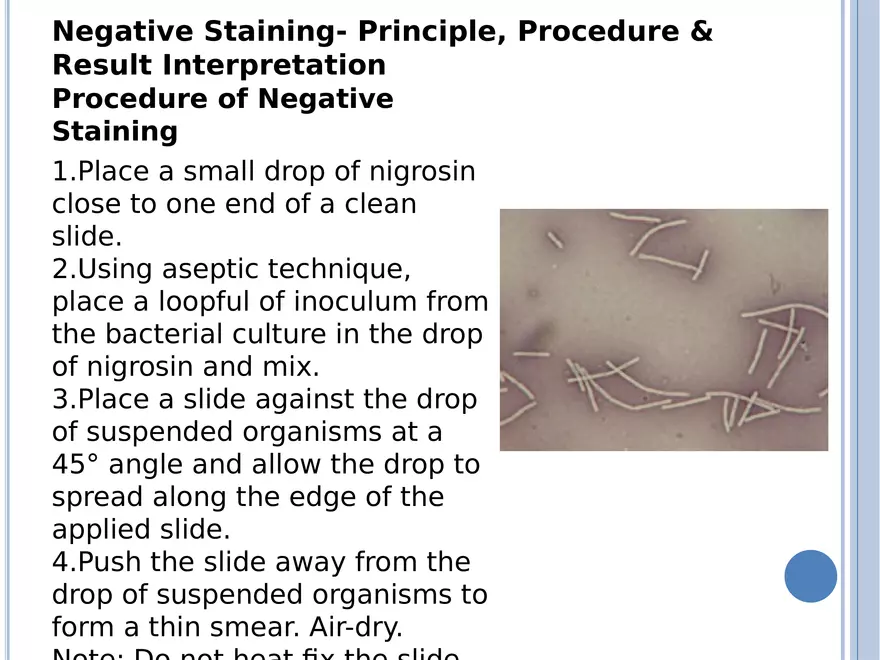 Bacterial Colonial Characteristics - Page 44