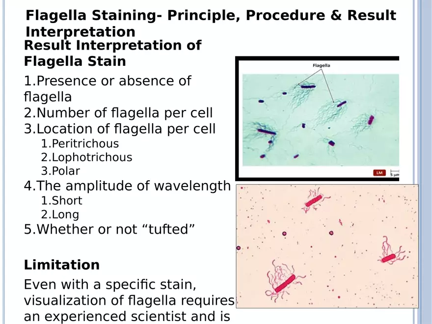 Bacterial Colonial Characteristics - Page 48