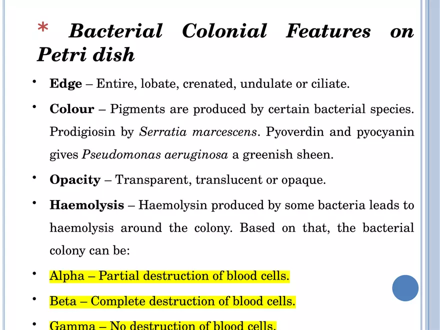 Bacterial Colonial Characteristics - Page 52