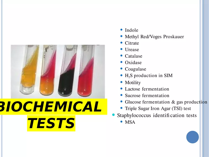 Bacterial Colonial Characteristics - Page 57