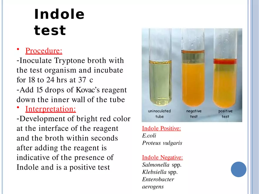 Bacterial Colonial Characteristics - Page 59